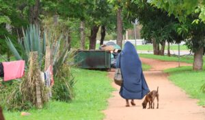 IBGE fará censo da população de rua em 2028