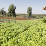 IPP sobe 2,37% em março após queda de fevereiro