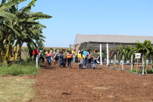 Emater-DF leva circuito de fruticultura à AgroBrasília 2026