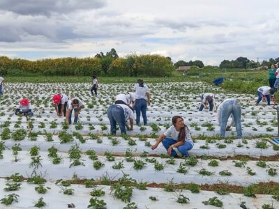 Mais de 100 mulheres são certificadas em programa rural no DF